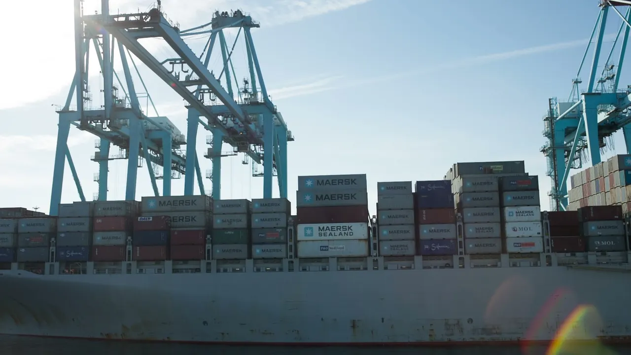 Side view of a container vessel under gantry cranes