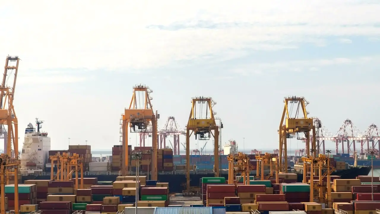 Port cranes unloading containers from a cargo vessel